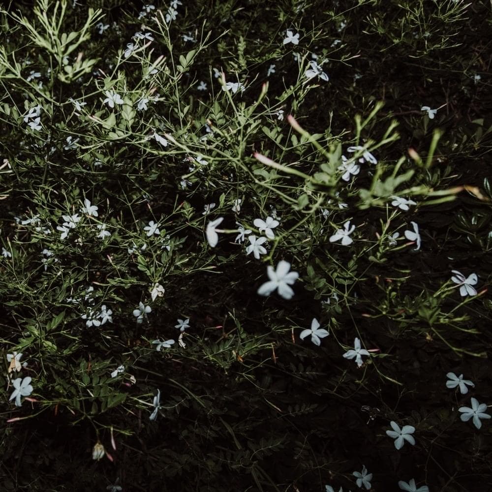 cover artwork of MARCO CASTELLO - PEZZI DELLA SERA