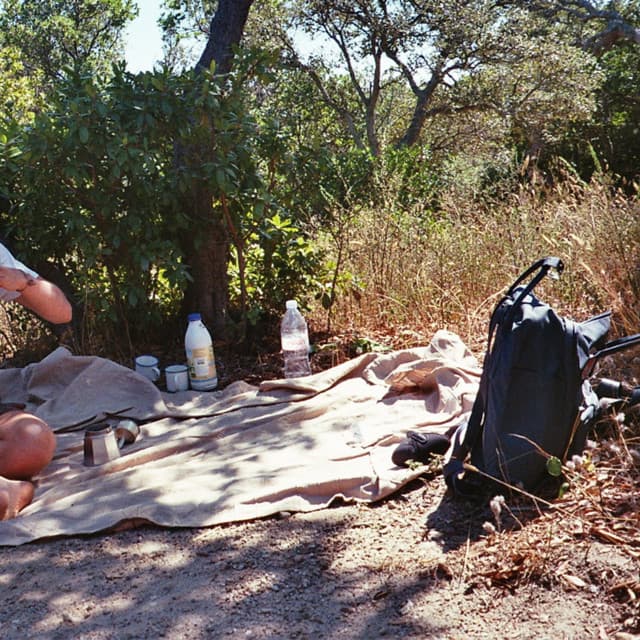 cover artwork of PINA PALAU - OUTDOOR GUY