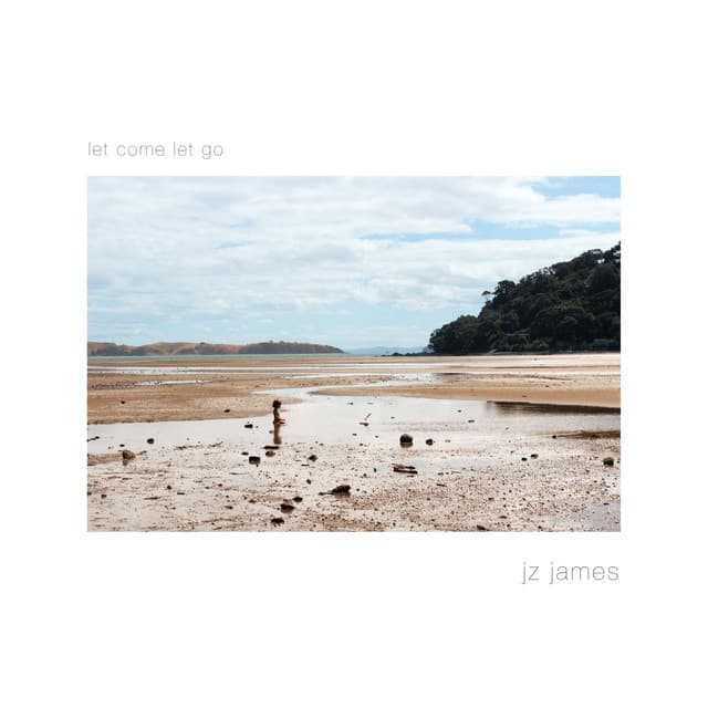 cover artwork of JZ JAMES - LET COME LET GO